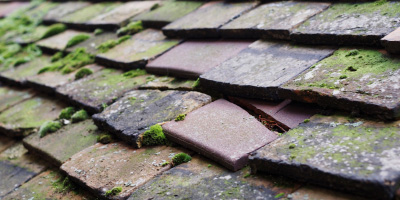 Camborne roof repair costs
